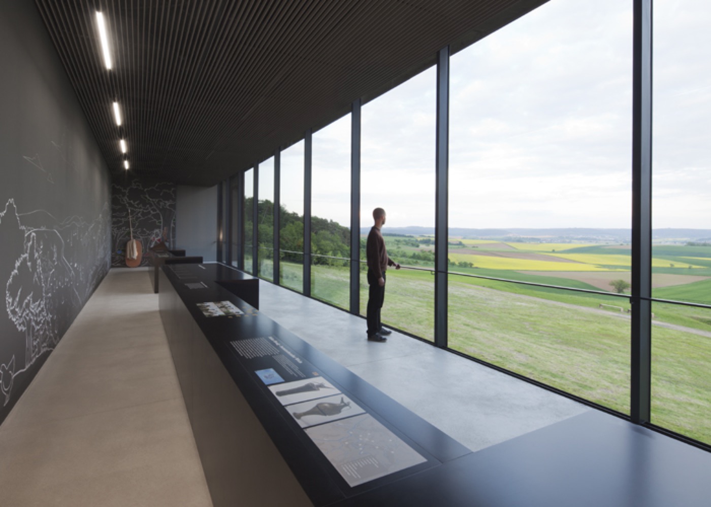 Keltenwelt am Glauberg, Ausstellungsraum im Bereich mit großem Panoramafenster und Blick auf den Grabhügel
